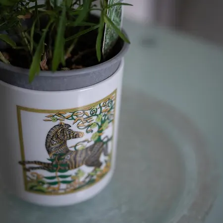 Dragoncello Senese Apartment *